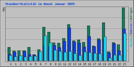 Stunden-Statistik im Monat Januar 2025